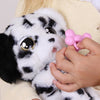 Baby Paws Dalmatian