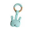 Little Rawr - Wood Plush Rattle Teether Toy Blue Bear